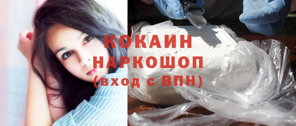 винт Лабытнанги