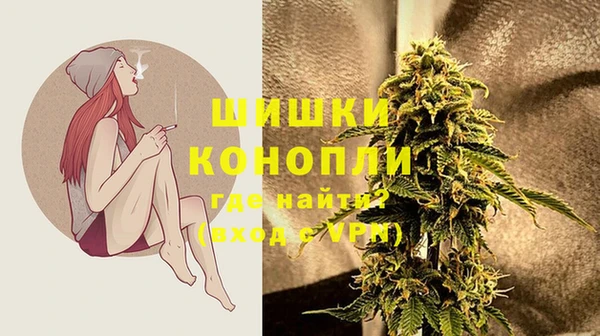 Альфа ПВП Ладушкин