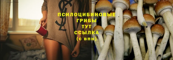 винт Лабытнанги